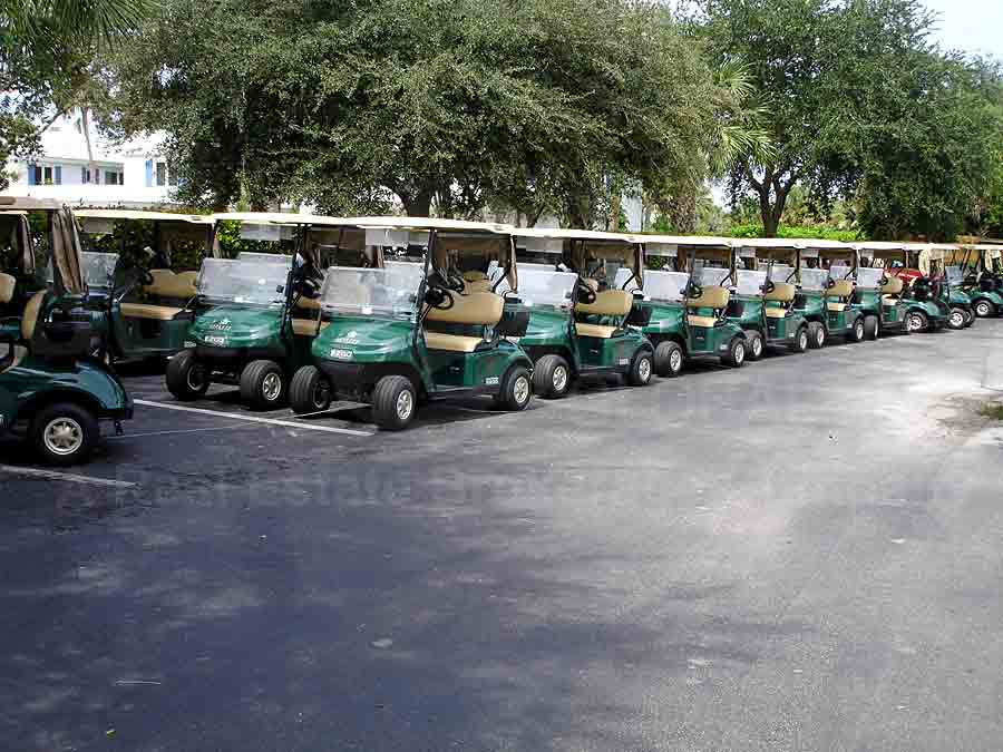 PALM RIVER Golf Carts